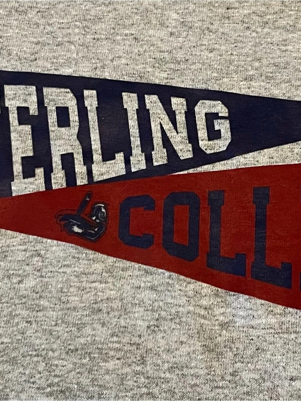 Sterling College Warriors‎ Jerzees Shirt Size Medium Color Grey